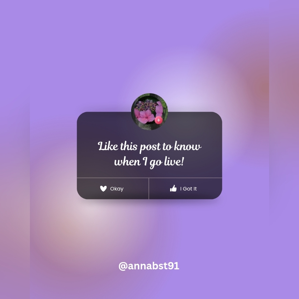 🌸 Live Show Notification 🌸